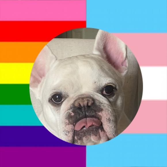 Meet your Posher, Parker - Picture 1 of 1